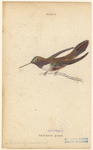 Image ID 820723