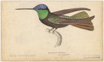 Image ID 820724