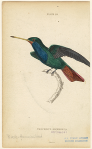 Image ID 820725