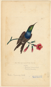 Image ID 820726