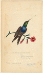 Image ID 820726
