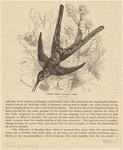 Image ID 820728