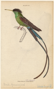 Image ID 820729