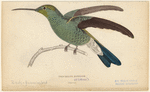 Image ID 820730