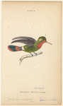 Image ID 820731
