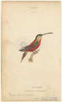 Image ID 820732