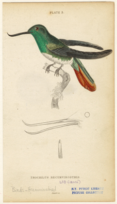 Image ID 820733