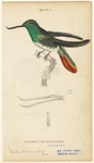 Image ID 820733