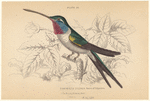 Image ID 820734