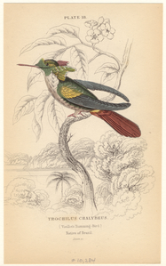 Image ID 820735