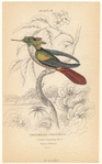 Image ID 820735