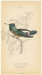 Image ID 820736