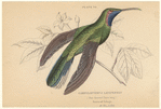 Image ID 820738