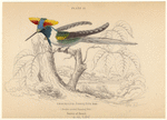 Image ID 820739