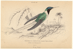 Image ID 820741