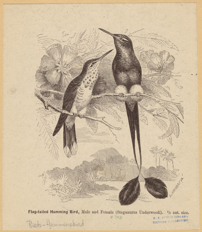 Image ID 820744
