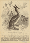Image ID 820745