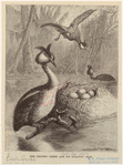 Image ID 820749