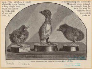Image ID 820753