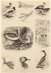 Image ID 820754
