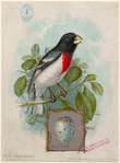 Image ID 820756