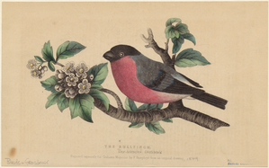 Image ID 820757