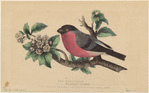 Image ID 820757