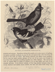 Image ID 820760