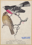 Image ID 820761