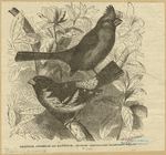 Image ID 820762