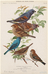 Image ID 820764