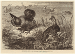 Image ID 820768
