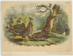 Image ID 820769