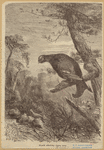 Image ID 820781