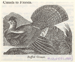 Image ID 820783
