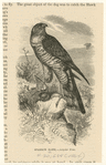 Image ID 820793