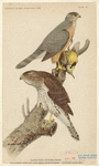 Image ID 820794
