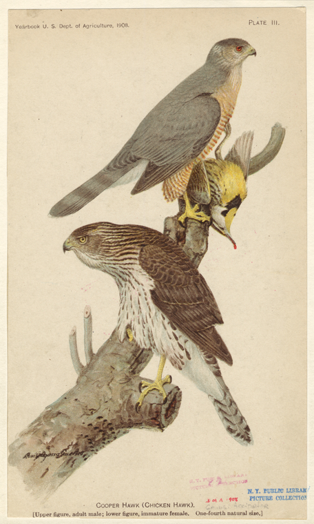Image ID 820794
