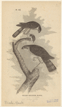 Image ID 820796
