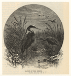 Image ID 820798