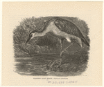 Image ID 820799