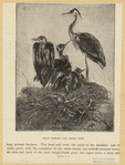 Image ID 820806