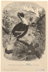 Image ID 820812