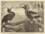 Image ID 820814