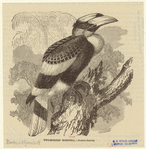 Image ID 820817
