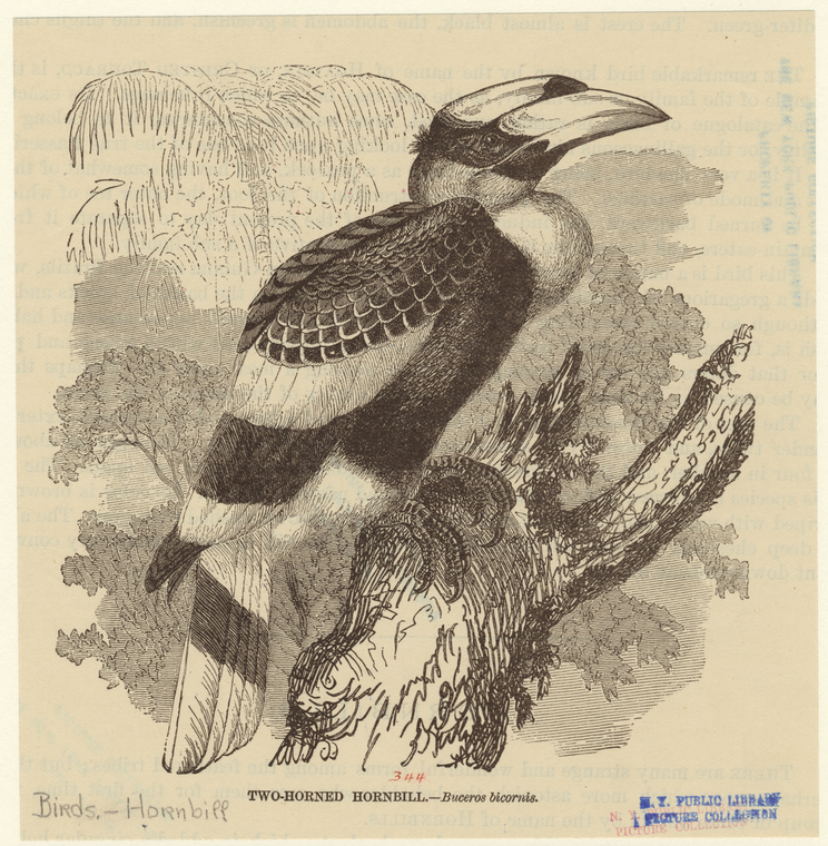 Image ID 820817
