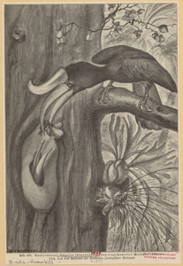 Image ID 820818