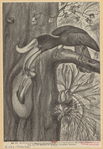 Image ID 820818