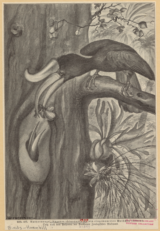 Image ID 820818

