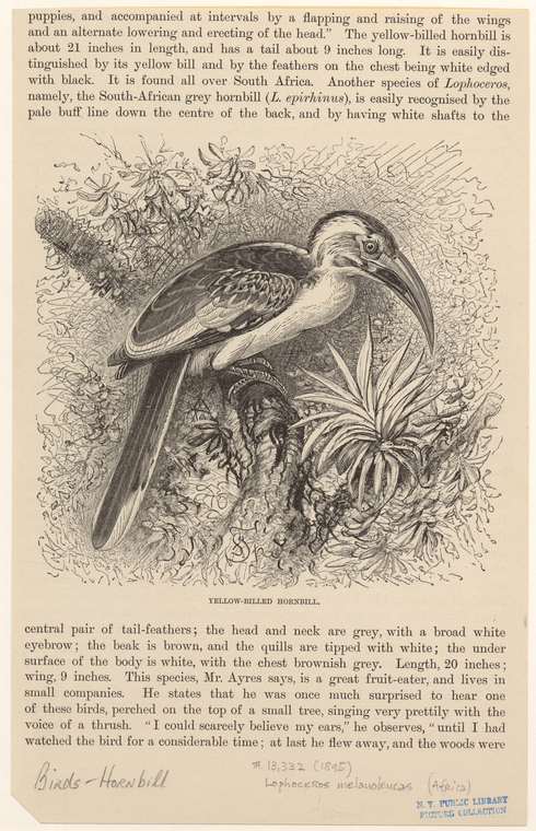 Image ID 820819
